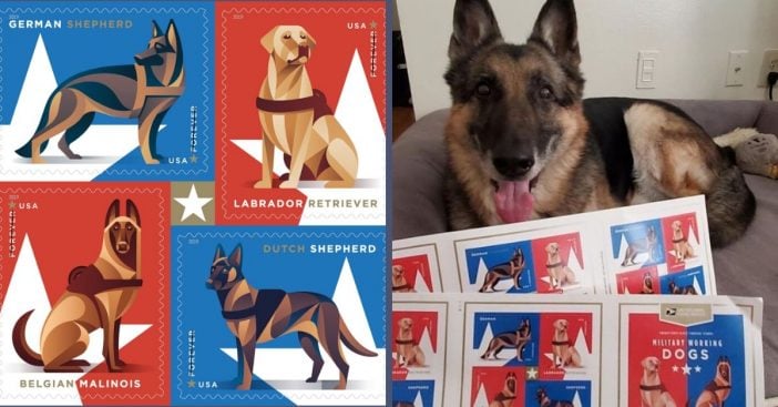 The USPS introduced military working dog stamps