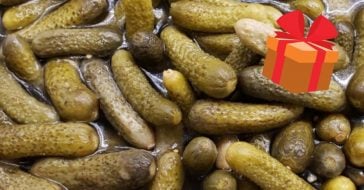 There is now a pickle subscription box for holiday gifts