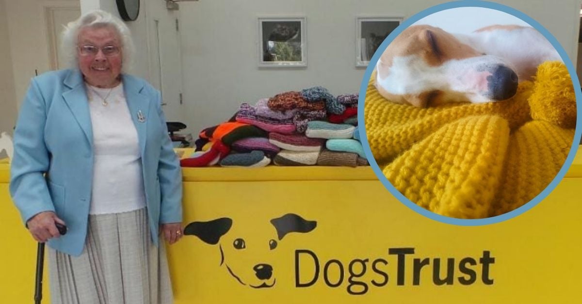 Maisie Green knits love into every strand