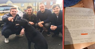 Neighbors get a letter back from the dog Stevie Ticks
