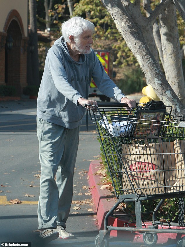 dick van dyke shopping for groceries in malibu