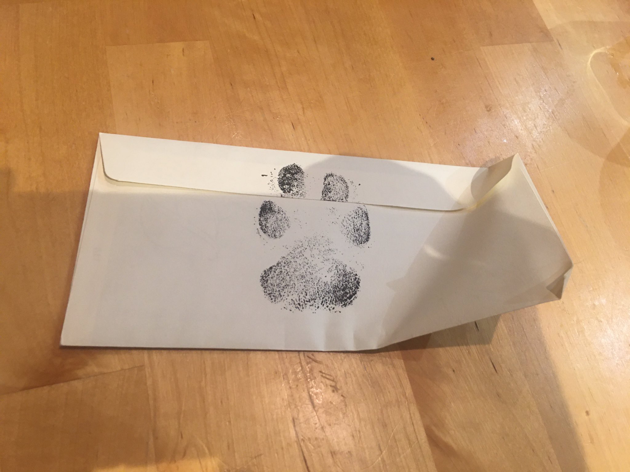 paw print envelope 