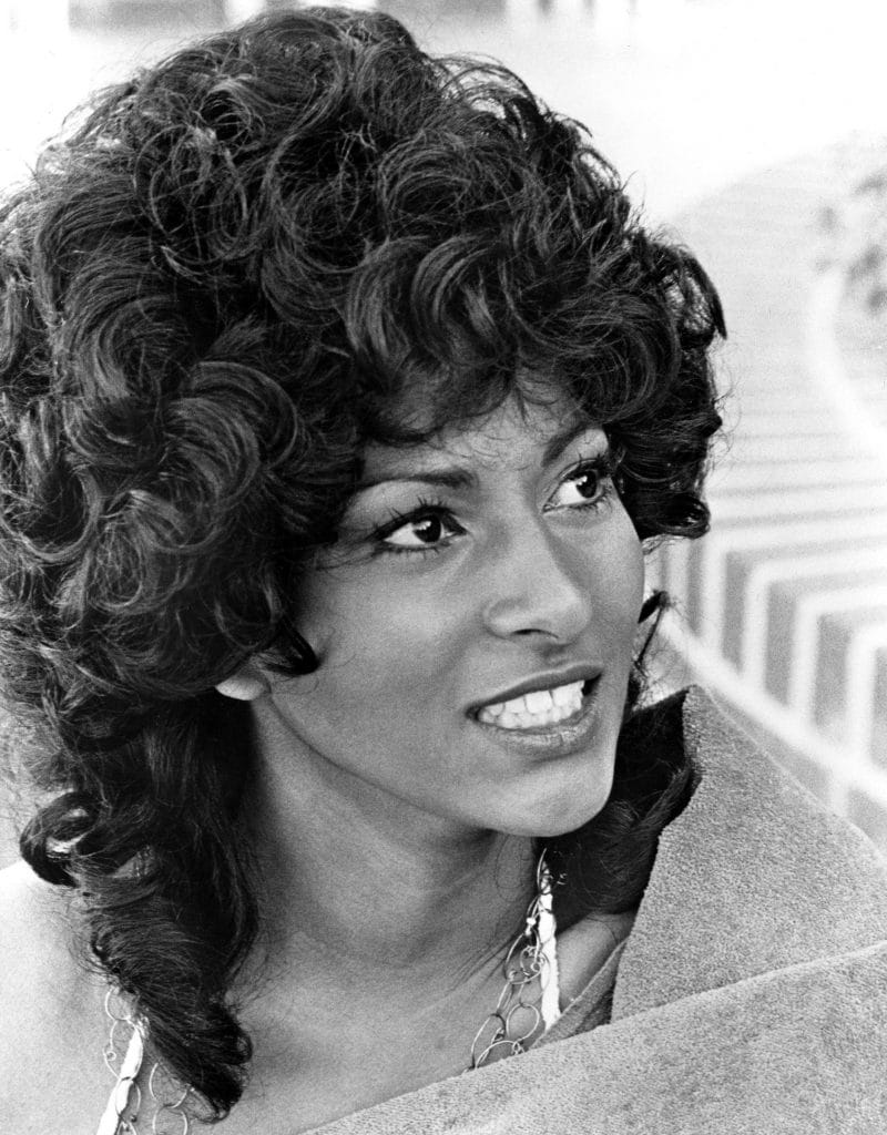 Pam Grier Is Stunning In Our Flashback Photos From The 70s