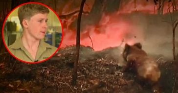 Robert Irwin Tears Up While Talking About The Injured Animals From The Australia Bushfires