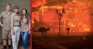 The Irwins Have Helped More Than 90,000 Animals During The Australia Bushfires