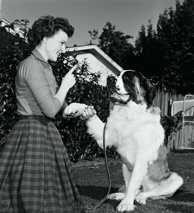 betty white dogs 1950s