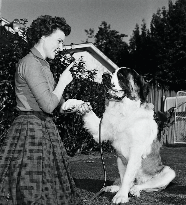 Rare Photos Of Betty White With Her Dogs In The 1950s