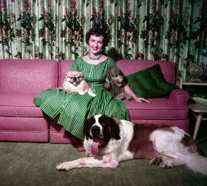 Rare Photos Of Betty White With Her Dogs In The 1950s