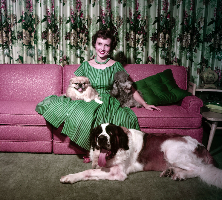 betty white dogs 1950s