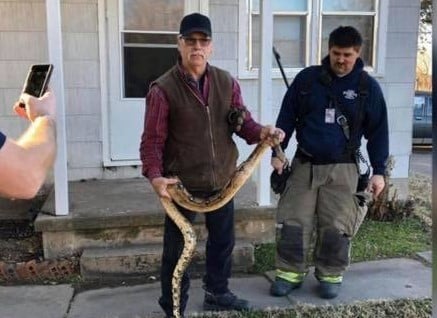man finds a snake in his couch 