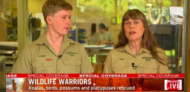 robert irwin tears up talking about animals suffering in bushfires