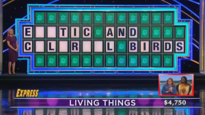 An answer for Thursday night's Wheel of Fortune included the letter Q...and was incorrect