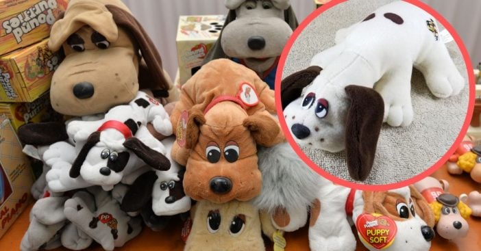Our favorite dog plushies are coming back