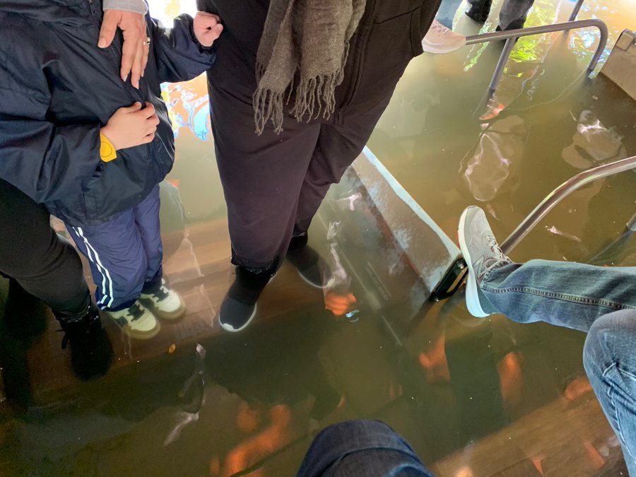 people on the jungle cruise boat that sunk