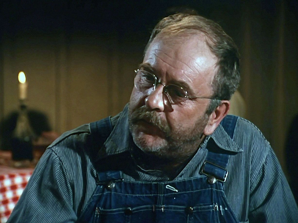 wilford brimley the waltons 