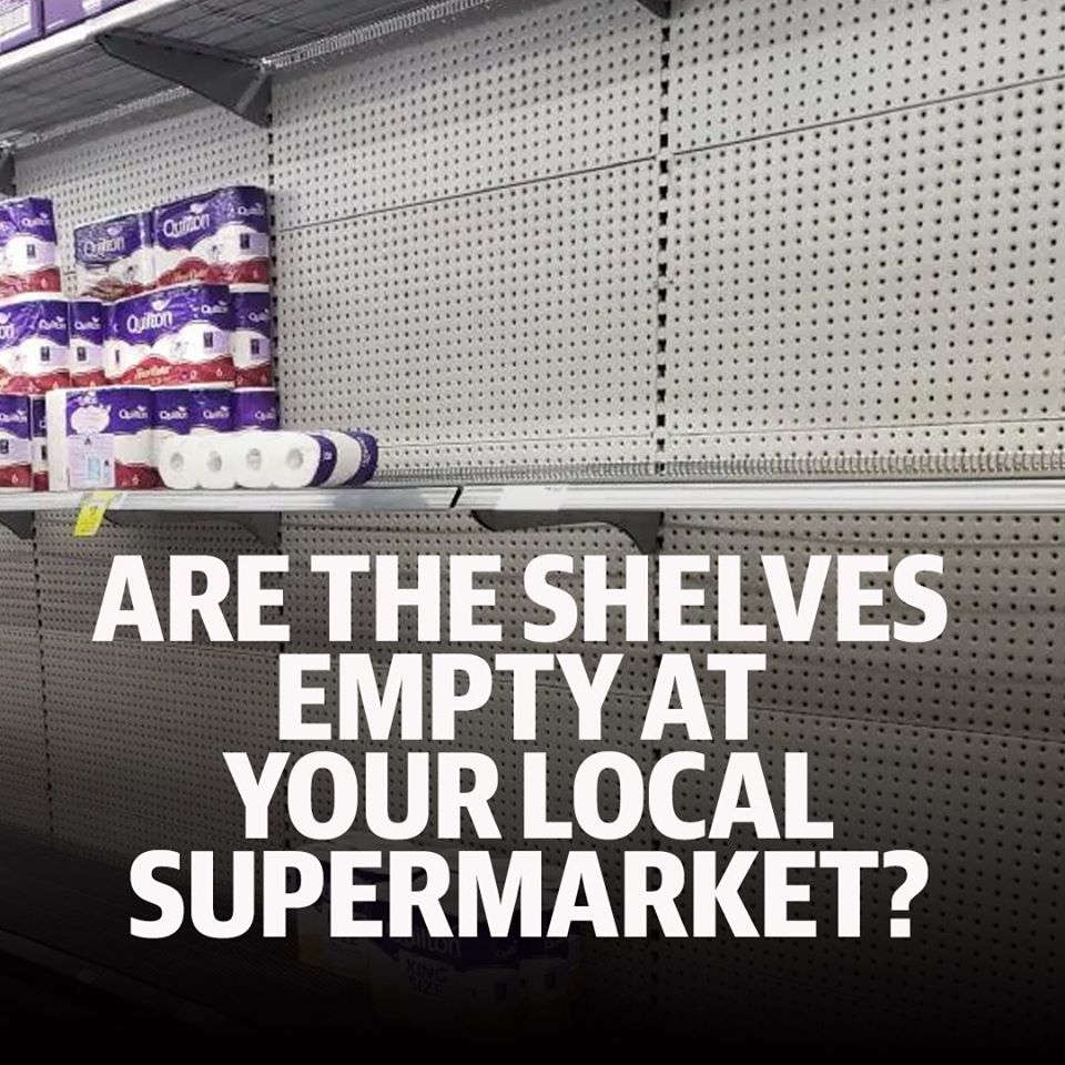 empty toilet paper shelves at grocery store 