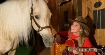 Shania Twain horse steals the show during recent performance