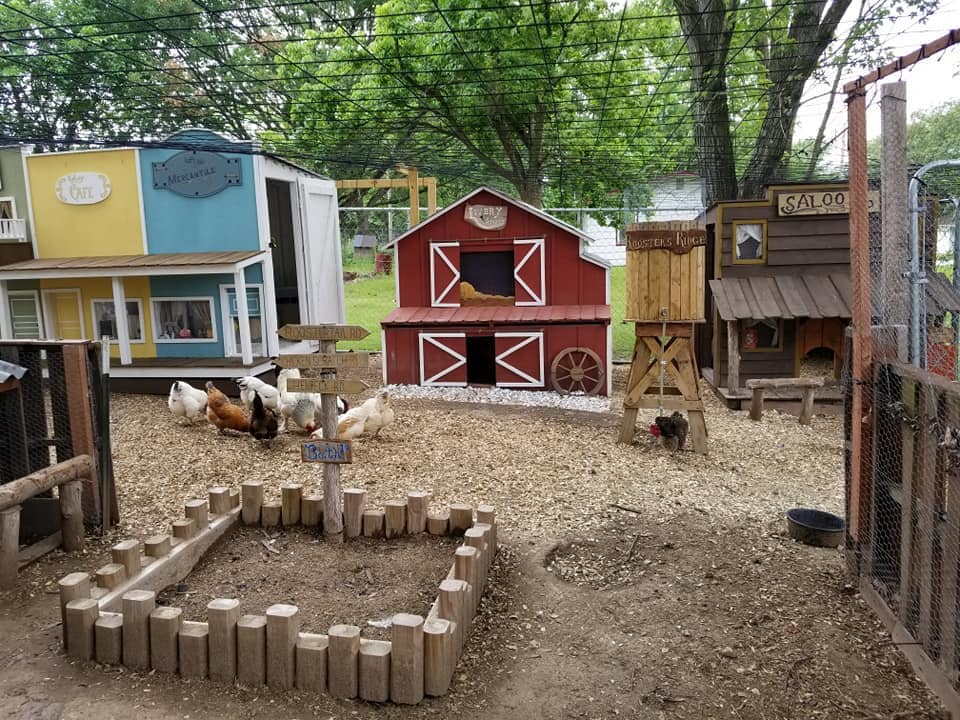 chicken coop town 