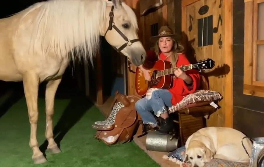 shania twain performance horse dog 