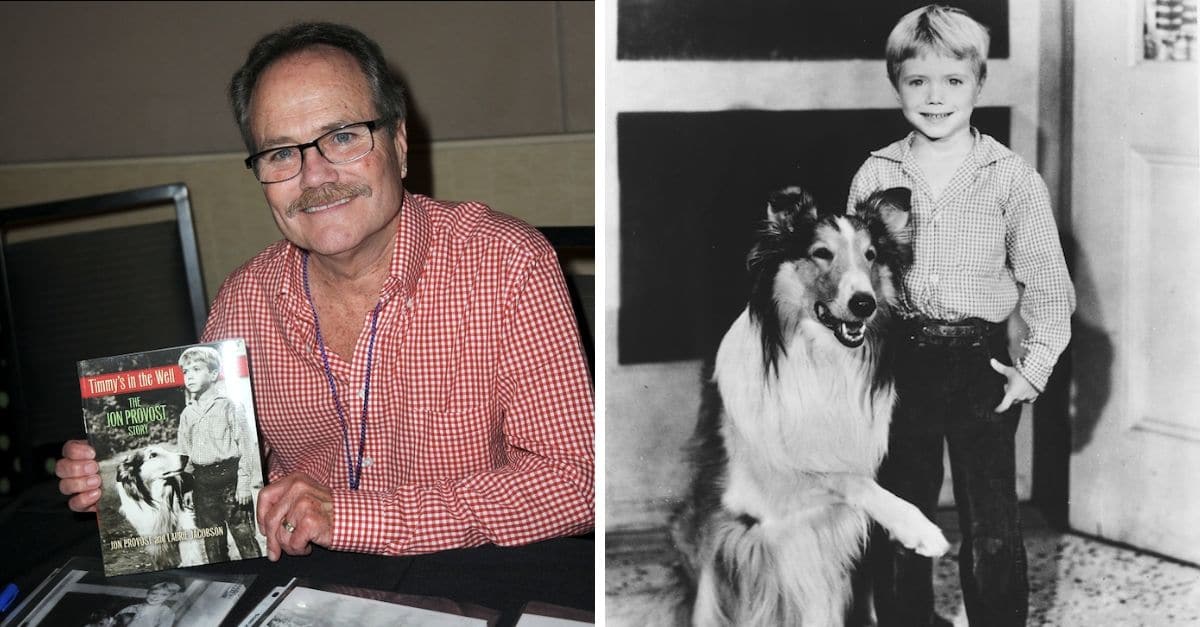 Lassie' star Jon Provost says Timmy was never trapped in a well: 'We just  don't know where that came from