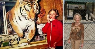 Tippi Hedren still owns big cats