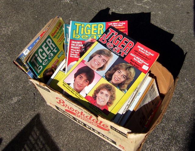 tiger beat magazine 