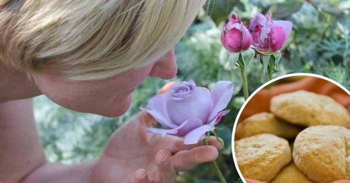 Certain scents trigger happy childhood memories