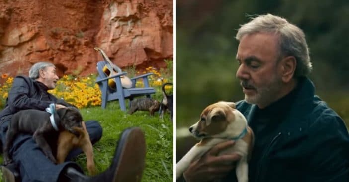 Neil Diamond got puppies adopted from a music video