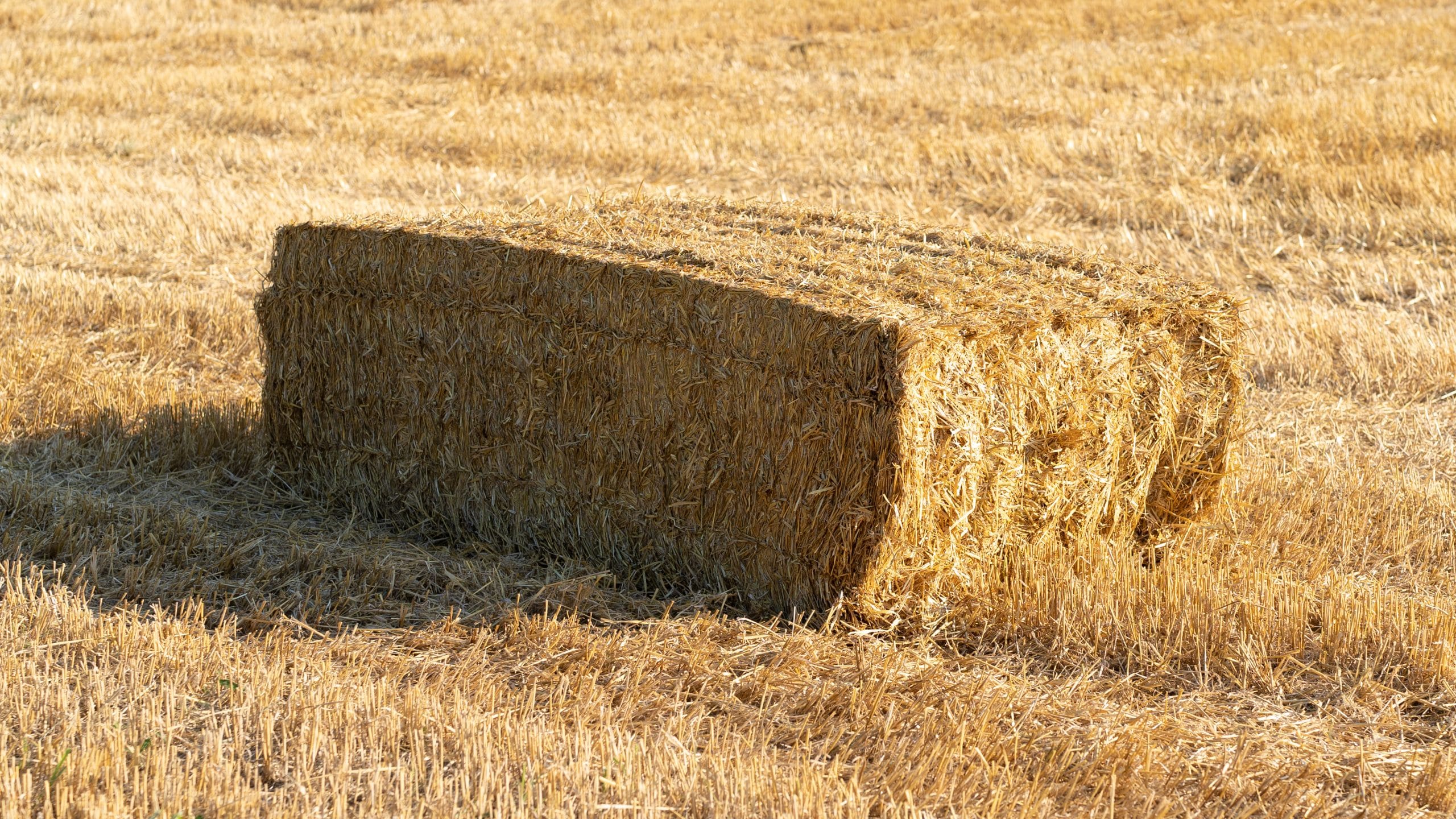 hay bale 