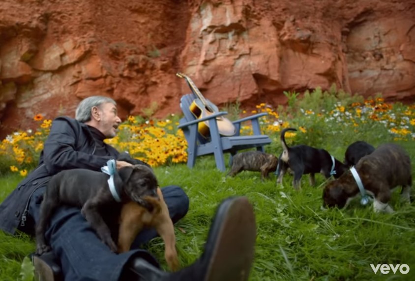neil diamond and puppies in his music video