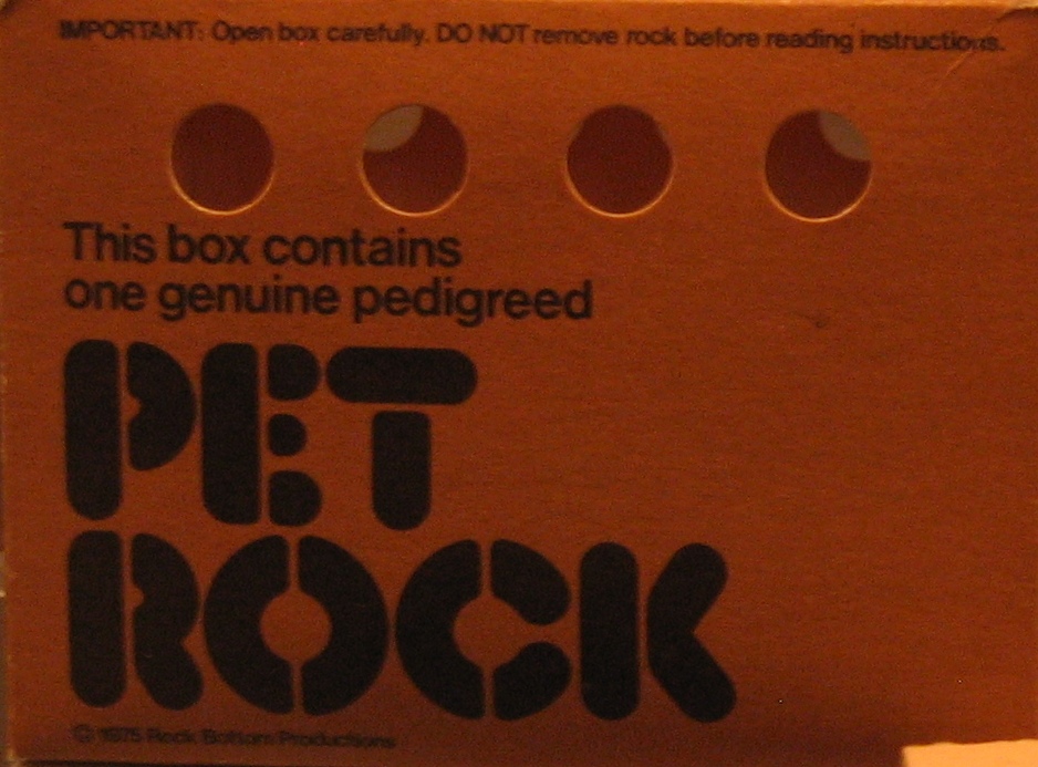 pet rock box 