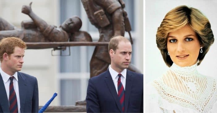 Prince Harry and Prince William give rare statement about their mother Princess Diana