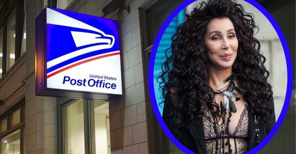 Cher Was Turned Down After Offering To Volunteer At Post Offices