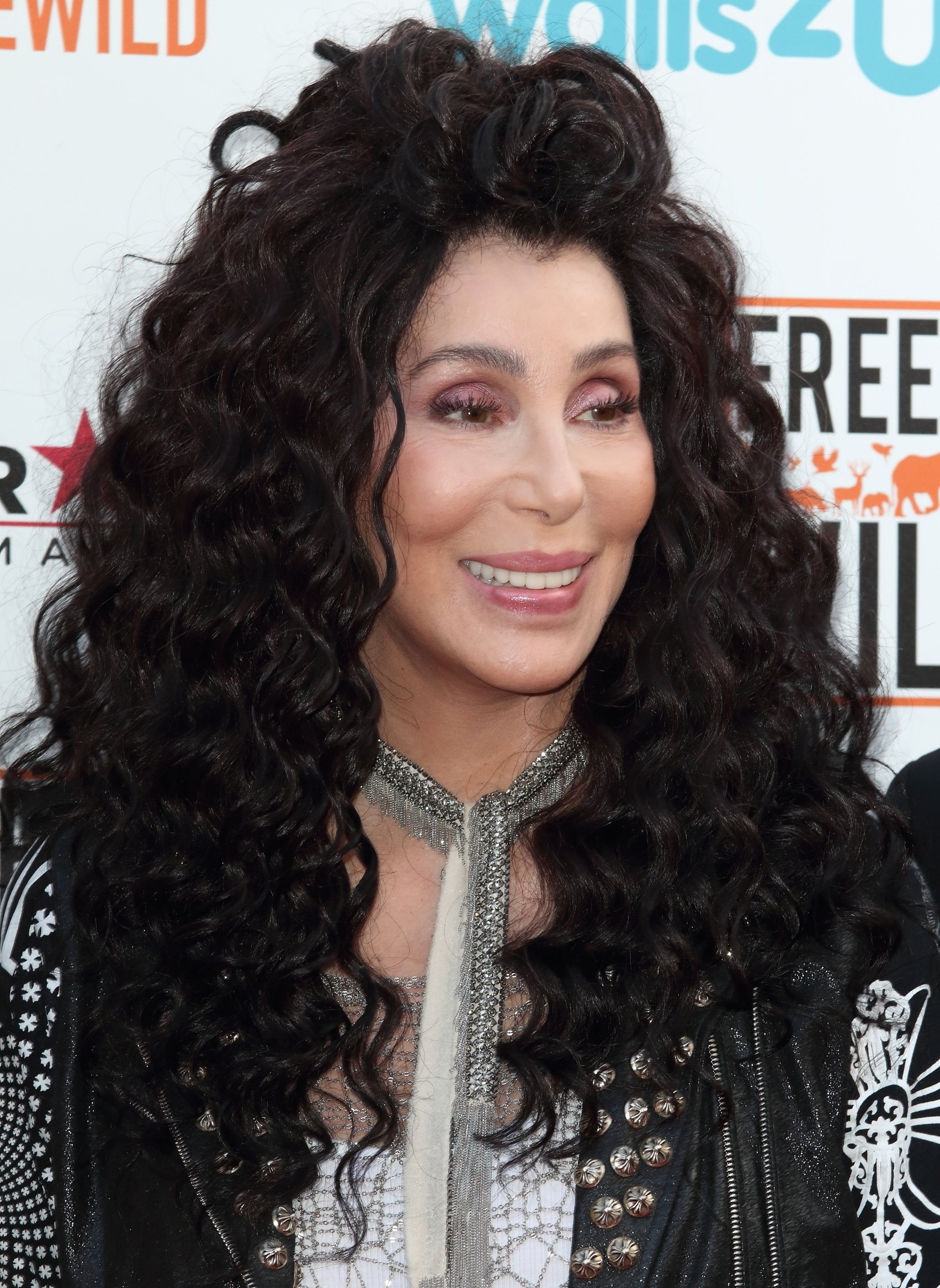 cher at a movie premiere 