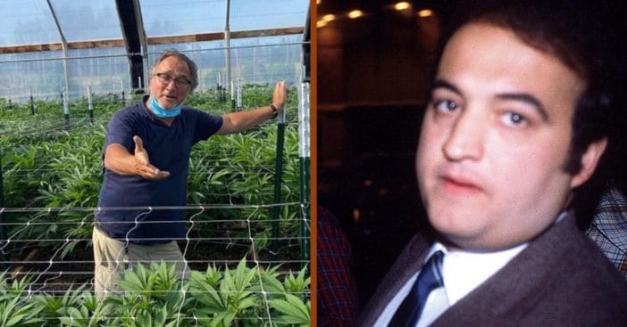 jim belushi thinks medical marijuana would have saved john belushi