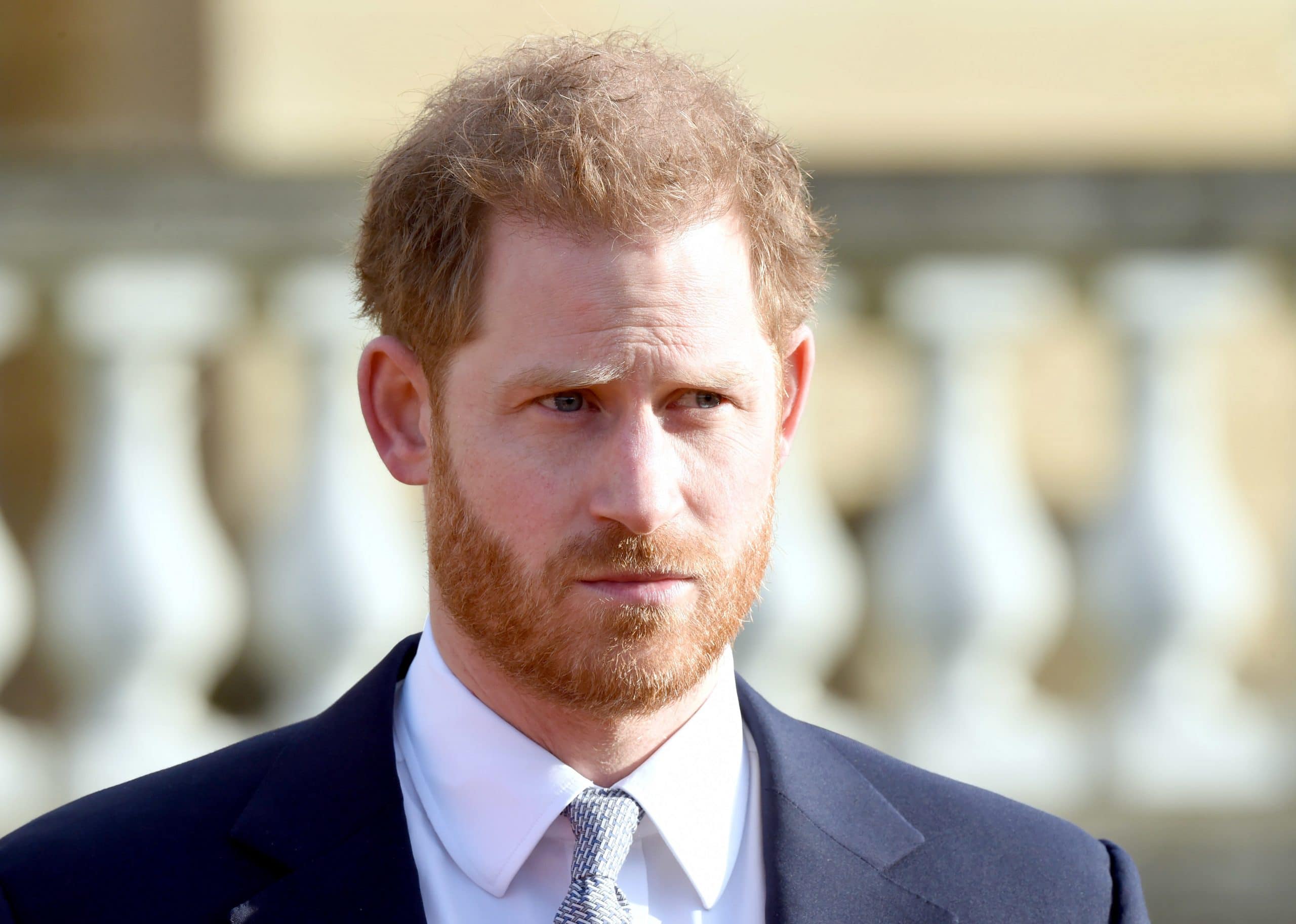 prince harry