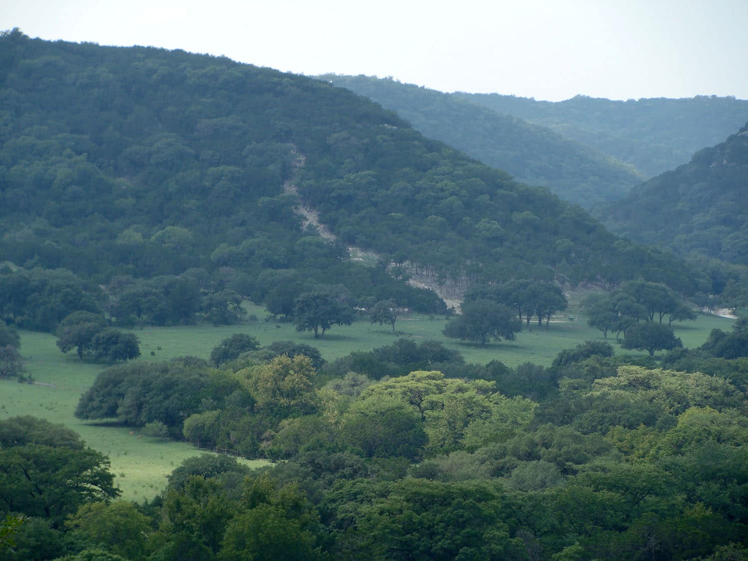 texas hill country 