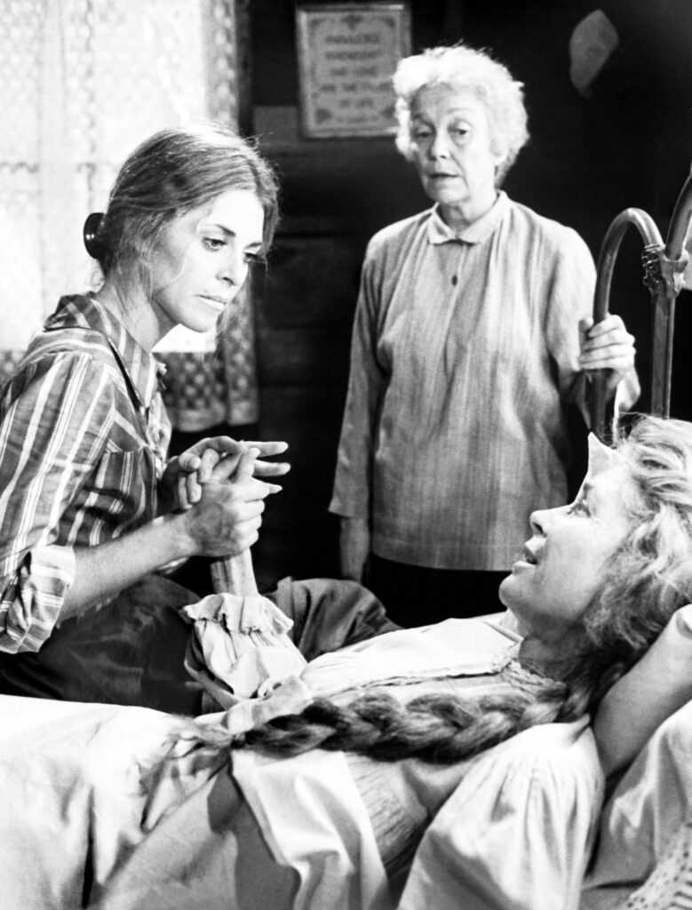 lindsay-wagner-doctor-meg-laurel