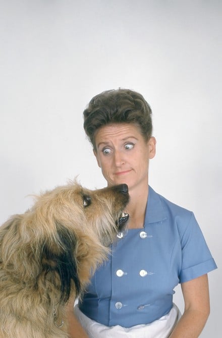 ann-b-davis