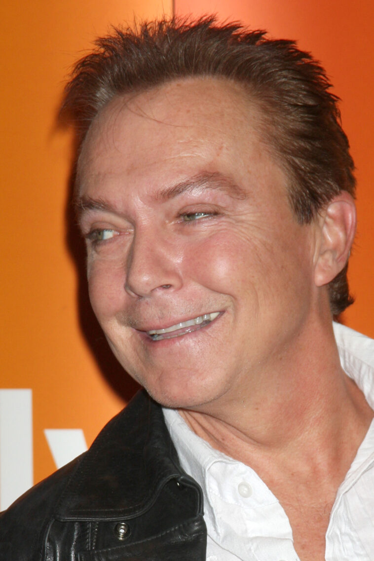 Why David Cassidy Sued Sony Years After 'The Partridge Family' Ended