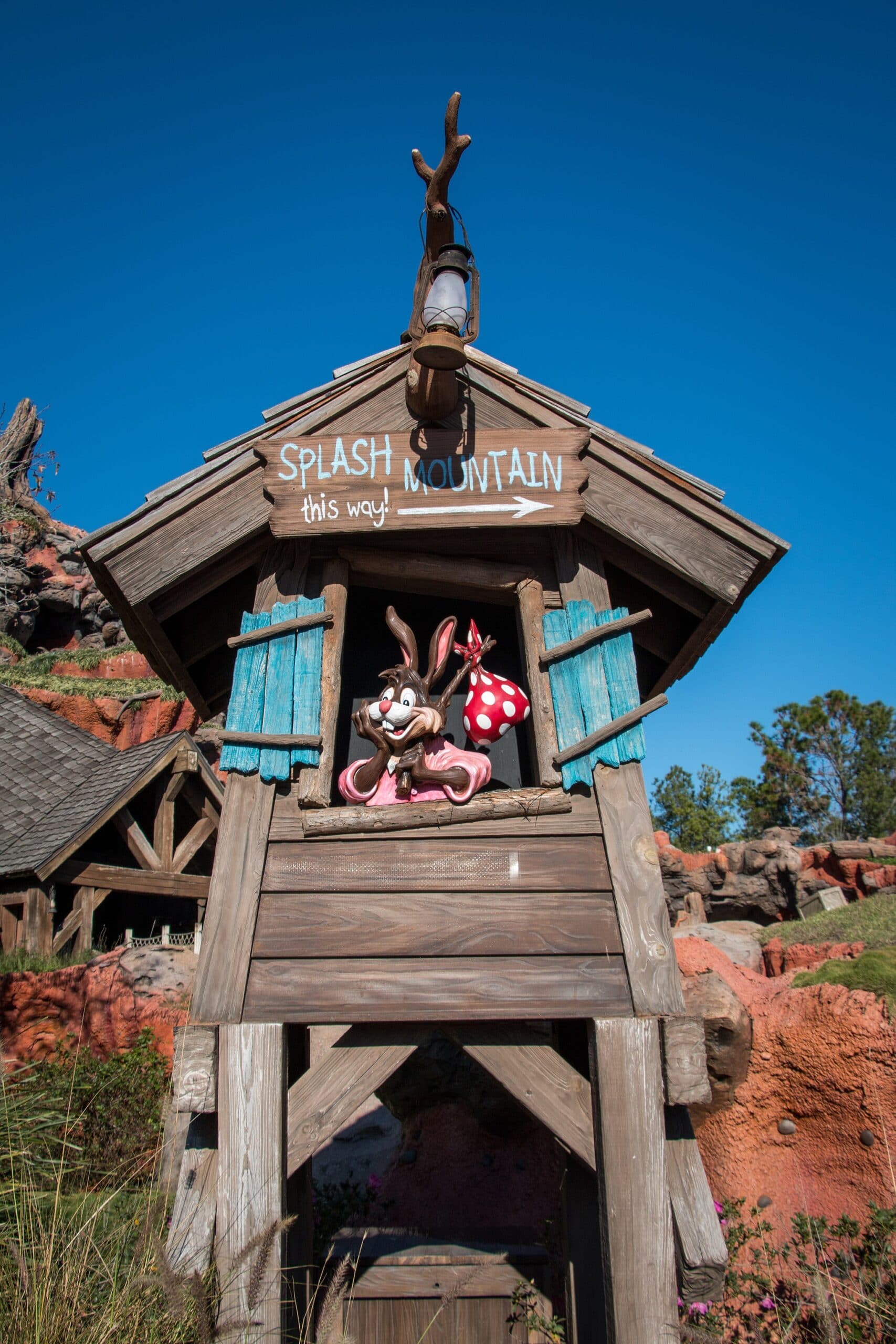 splash mountain disney