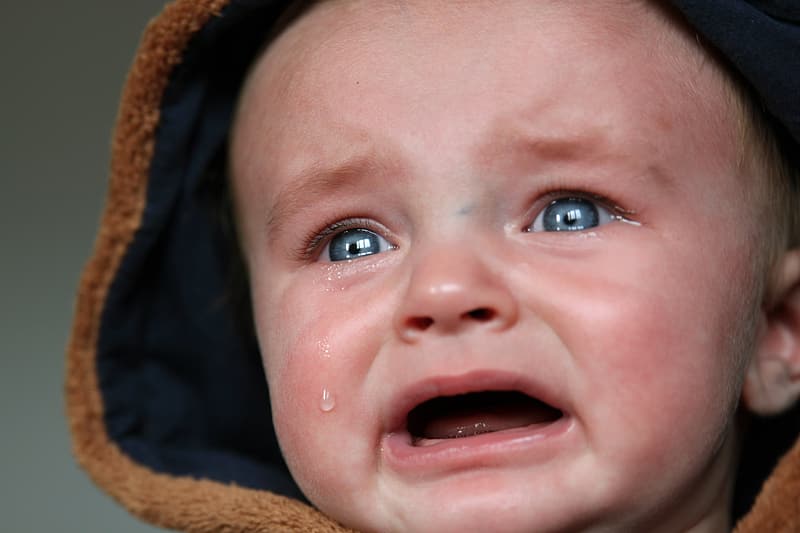 Mom Sends Kid To Bed Without Dinner For Insulting Her Food — Was She Wrong To Do That?