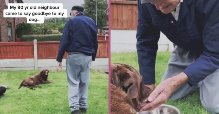 90-Year-Old Neighbor Says Final Goodbye To Furry Friend In Emotional Video