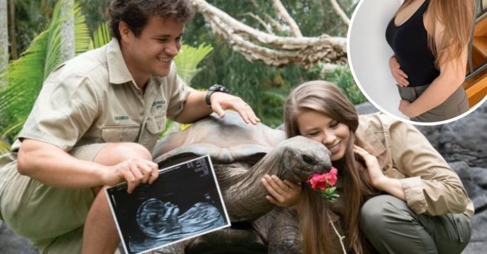 Bindi Irwin shares first bump photo with fans