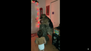 Despite being a dog, this German Shepard pulled off one enthusiastic bear hug