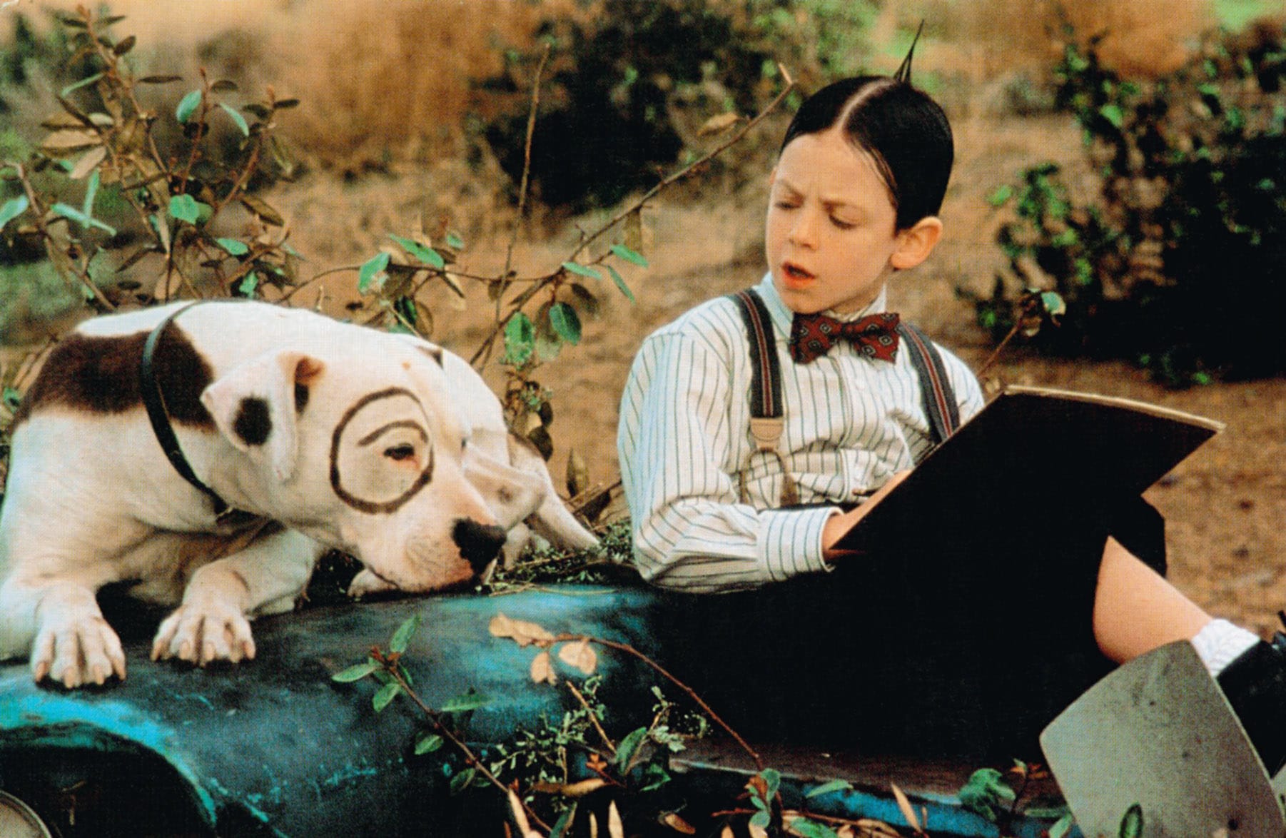 petey-bug-hall-little-rascals-from-1994