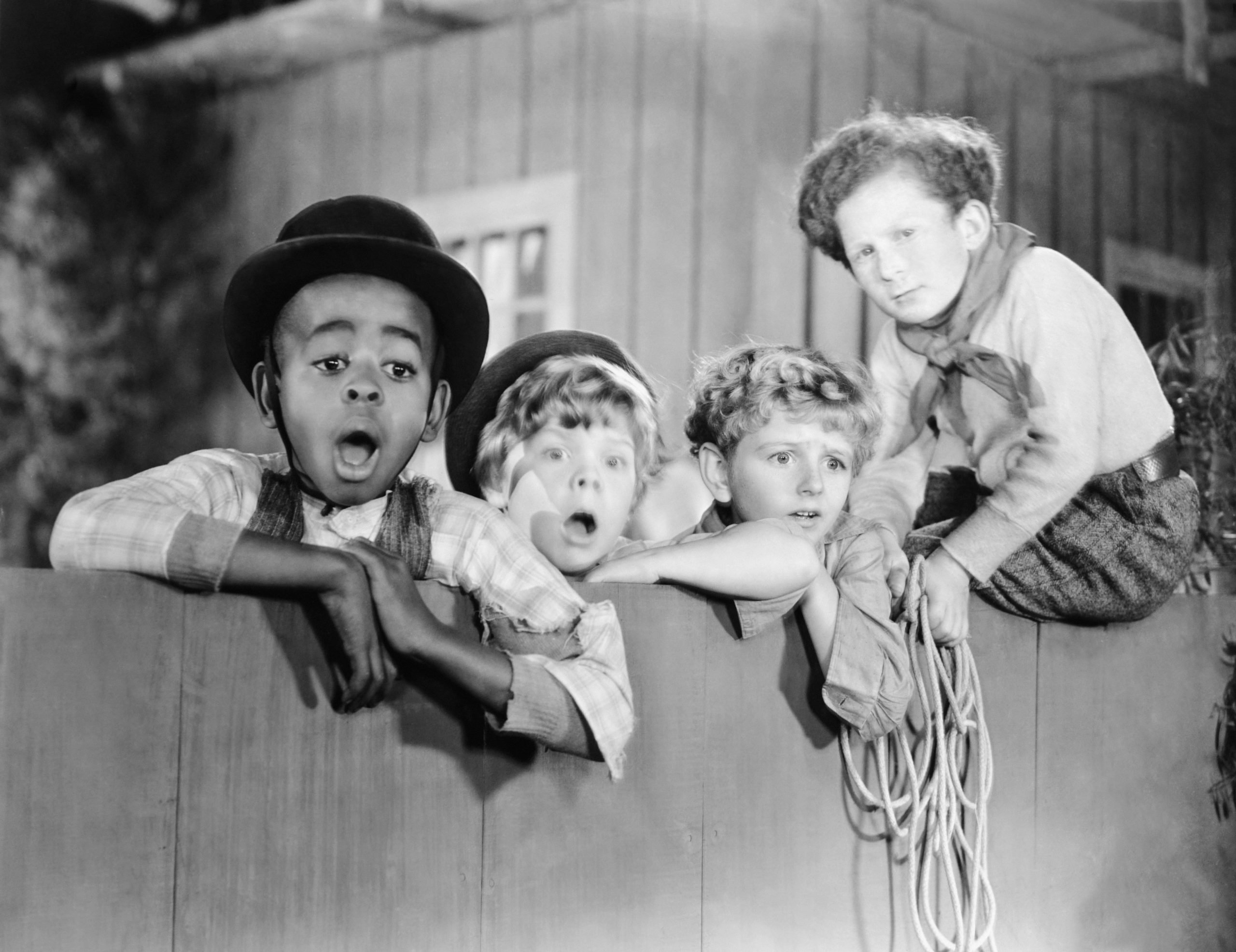 Little Rascals Vol. 1 - Season 1 (1930) Television