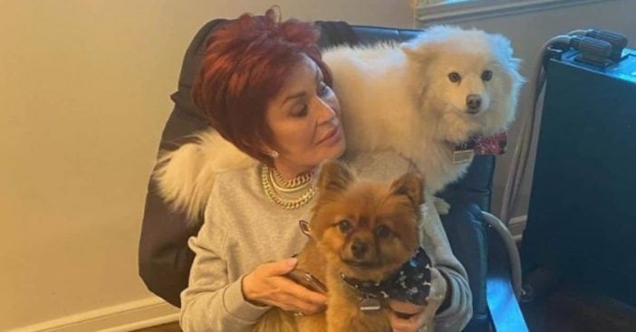 Sharon Osbourne tests positive for the coronavirus