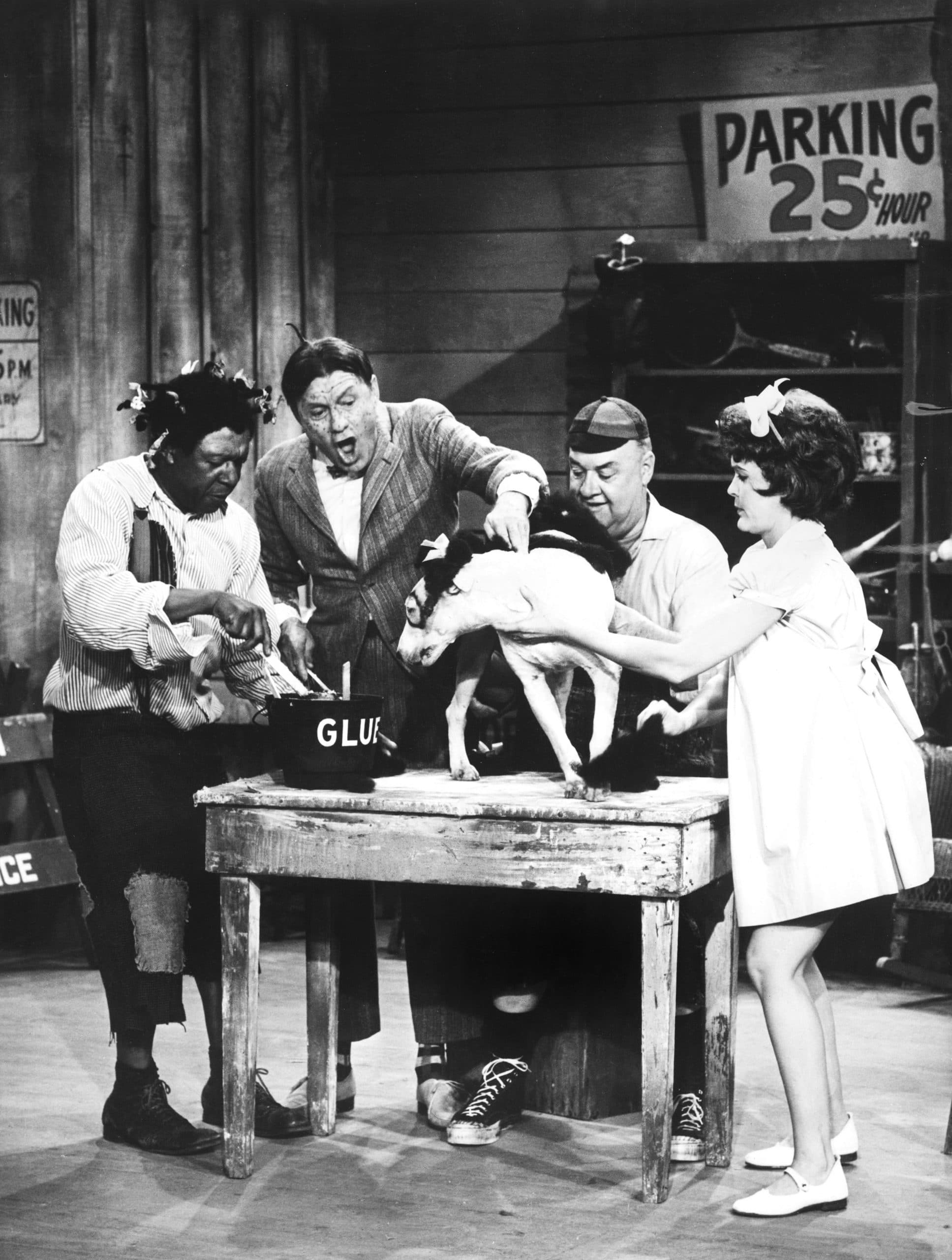 The Story Behind Darla: The Tragic Truth About The Little Rascals Sweetheart. - pwuhcvm