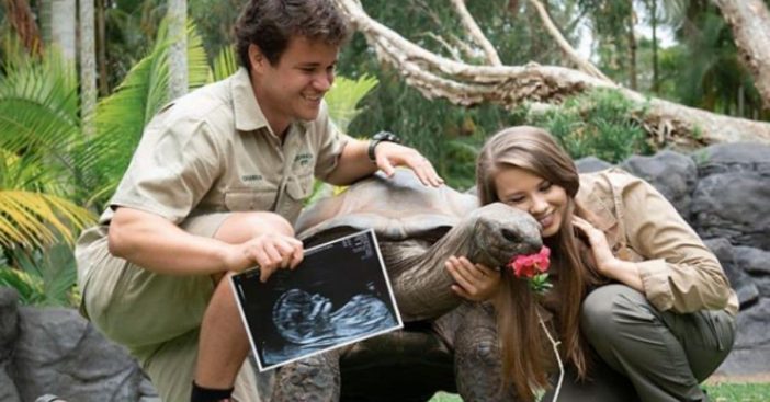 bindi irwin announces gender of baby